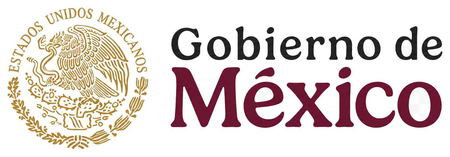 Government of Mexico